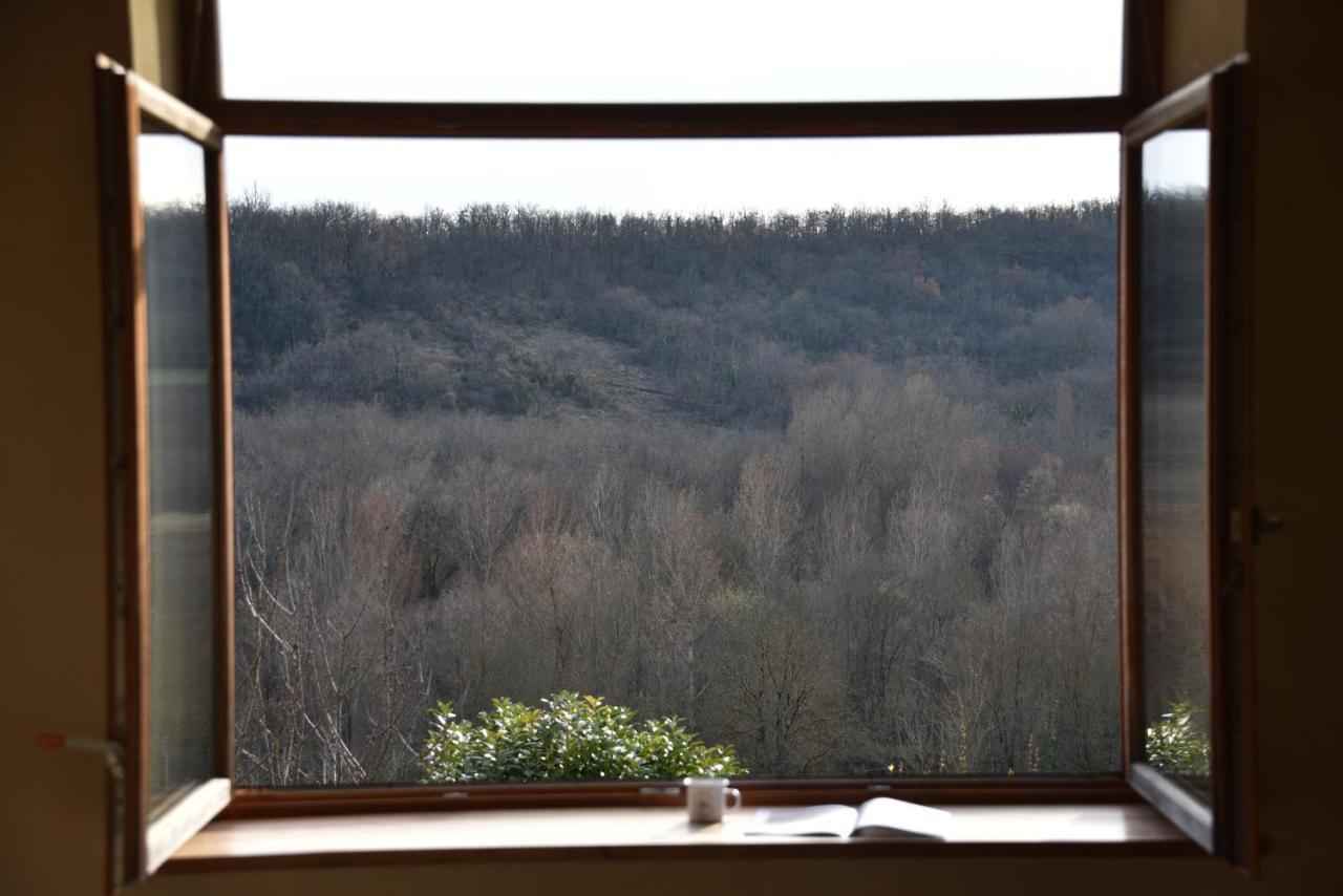 Les Collines Du Quercy Blanc Βίλα Castelnau-Montratier Εξωτερικό φωτογραφία