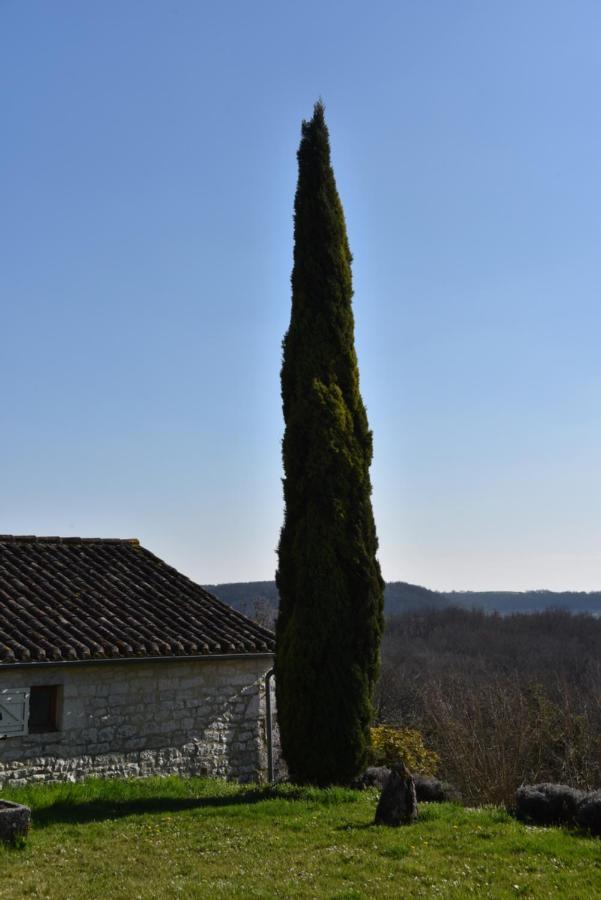 Les Collines Du Quercy Blanc Βίλα Castelnau-Montratier Εξωτερικό φωτογραφία